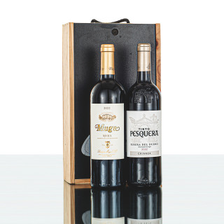 Selección de Vinos y Cava CM-307 | Grupo Navarra
